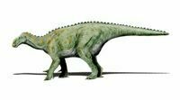 An artists rendering of Iguanodon.  By Nobu Tamura http://paleoexhibit.blogspot.com